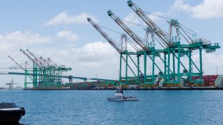 Cranes at the Port of Los Angeles are empty of cargo ships, in San Pedro California, U.S., May 13, 2025.