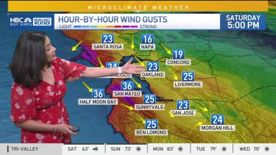 Cinthia's forecast: Windy coast