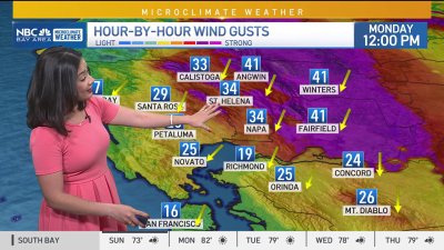 Cinthia's forecast: Sunny and breezy