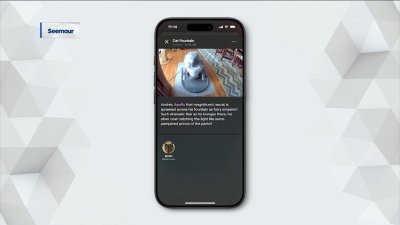 Smarter, friendlier cameras from Prompt.AI