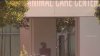 Animal advocates raise concerns after dog dies at San Jose animal shelter