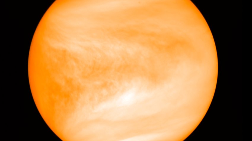 The planet Venus