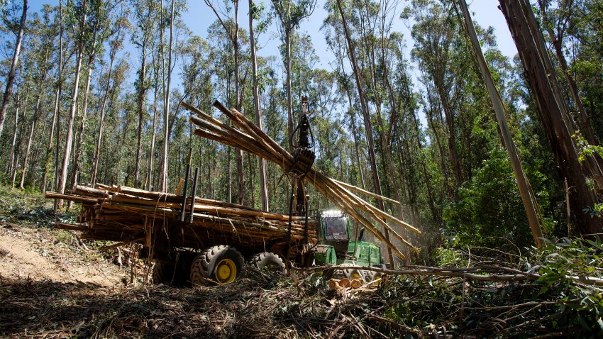 Logs are loaded onto a flatbed truck during a fire preventing fuels reduction project.