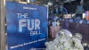 Humane Society Silicon Valley Celebrates Annual Fur Ball