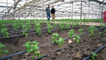 Larry Jacobs, a farmer of more than 40 years, takes Senior Investigative Reporter Bigad Shaban on a tour of his farm in Watsonville, California.