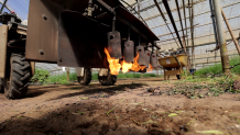This flame-wielding robot, designed by the company Farm-ng, aims to burn away pesky insects in order to prepare soil for the next round of crops.