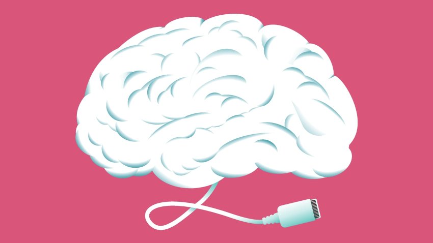 [CNBC] I’m a brain doctor—the No. 1 rule that boosts my brain and energy levels ‘when I hit a mental wall’
