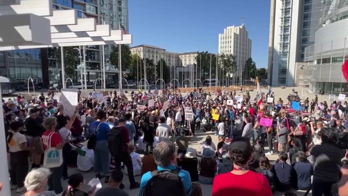 Hundreds rally in San Jose in support of immigrant rights – NBC Bay Area