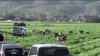 California farmworkers concerned about ICE activity