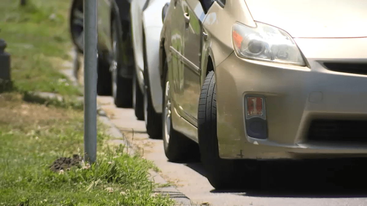 San Francisco could start charging for curbside parking in Golden Gate Park