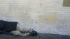 Advocates warn San Francisco mayor's proposed budget cuts could increase homelessness