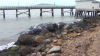Another dead whale washes up in the Bay Area
