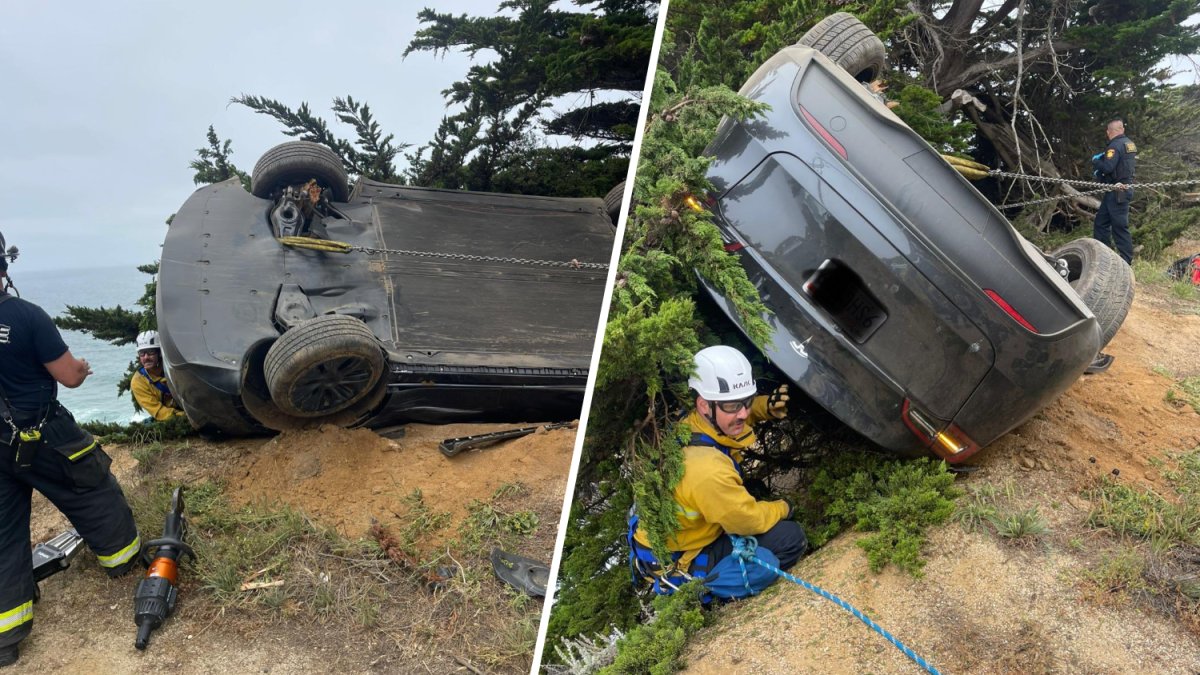 Tree saves driver from going over 200-foot cliff in San Mateo County ...