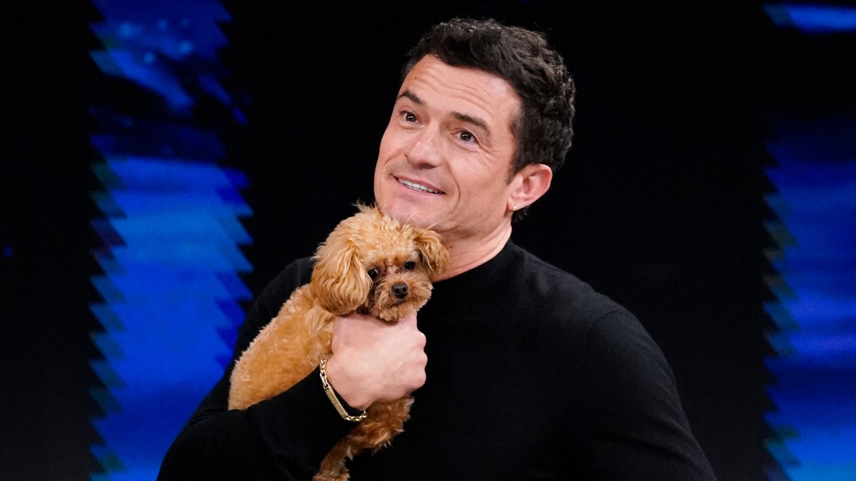 Orlando Bloom shows off his puppy Biggie Smalls, shares his terrifying