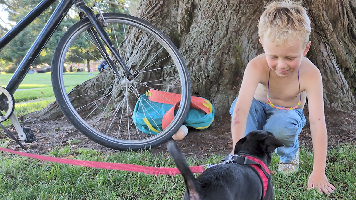 With teacher’s help, 5-year-old achieves goal of meeting 1,000 dogs ...