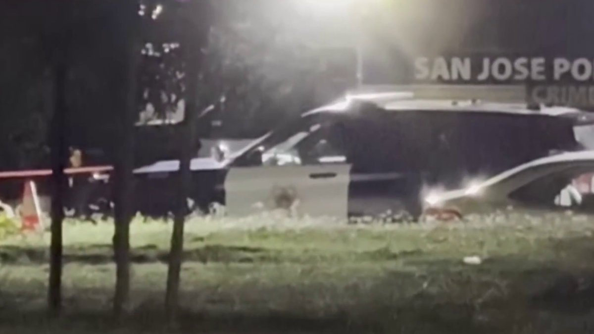 Officers shoot father who stabbed son to death, San Jose police say ...