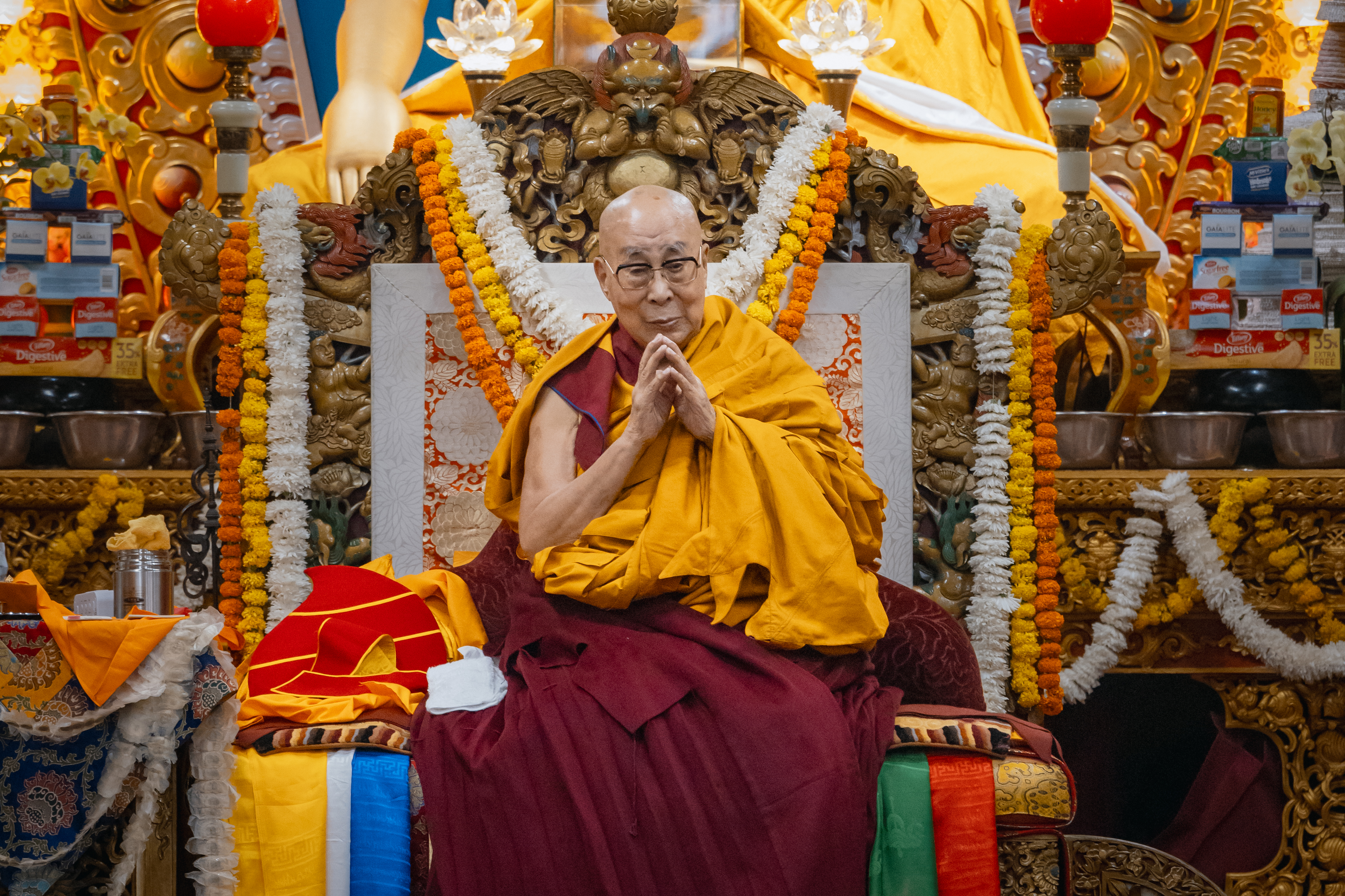 期間限定お値下げ！早い者勝ち！　ＴＨＥ　ＤＡＬＡＩ　ＬＡＭＡ GettyImages-2223630426.jpg?