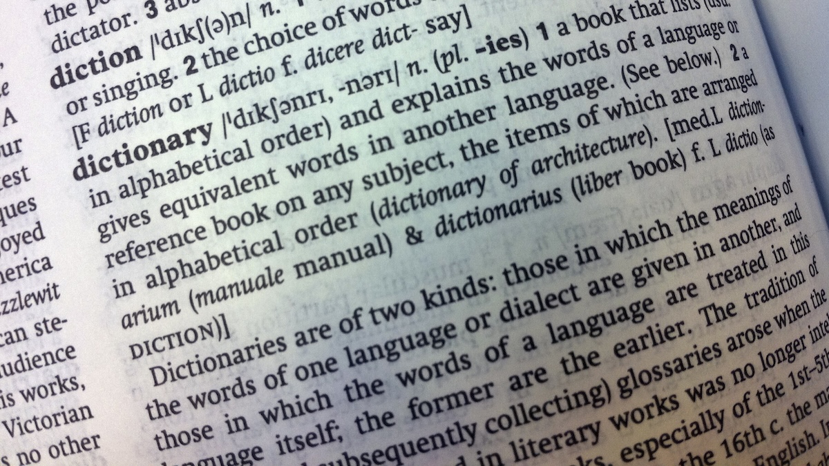 Cambridge dictionary new words skibidi delulu tradwife more nbc