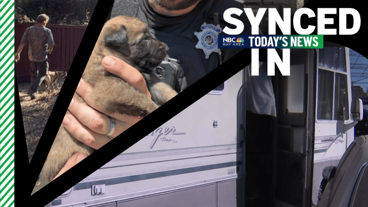 In the news: Man’s body found in RV, deputies rescue mother dog and her ...