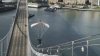 Watch: Stuntman skysurfs onto Bay Bridge, slides down cables