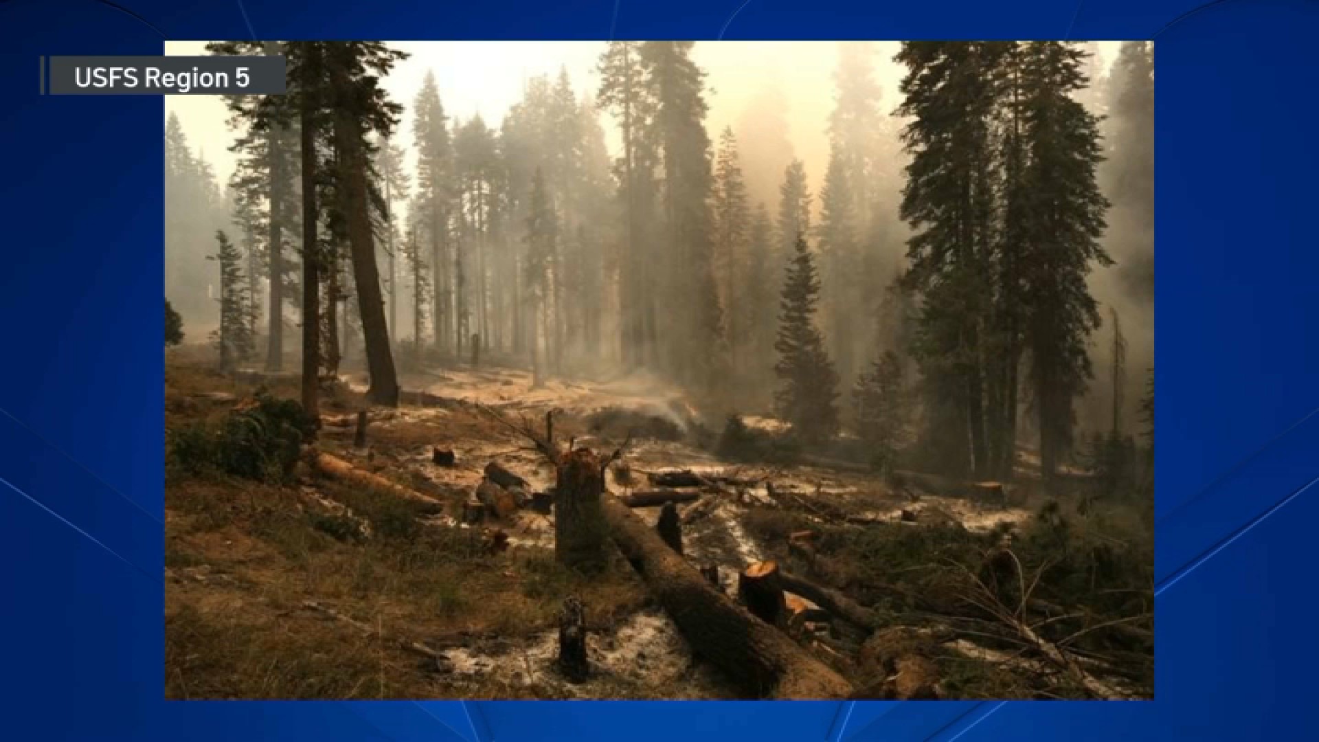 Garnet Fire burns giant sequoias in Fresno County – NBC Bay Area