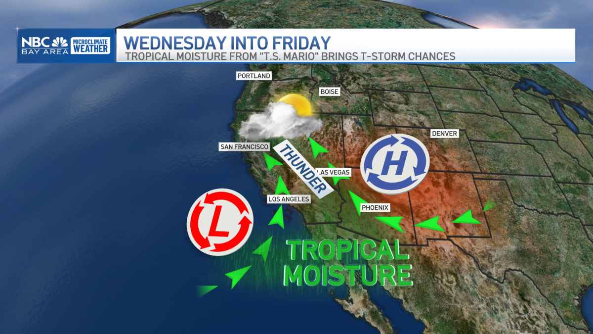 トップス SIESTA Bay Area Weather Report Sweat SIESTA Bay Area Weather Report Sweat Bay Area weather