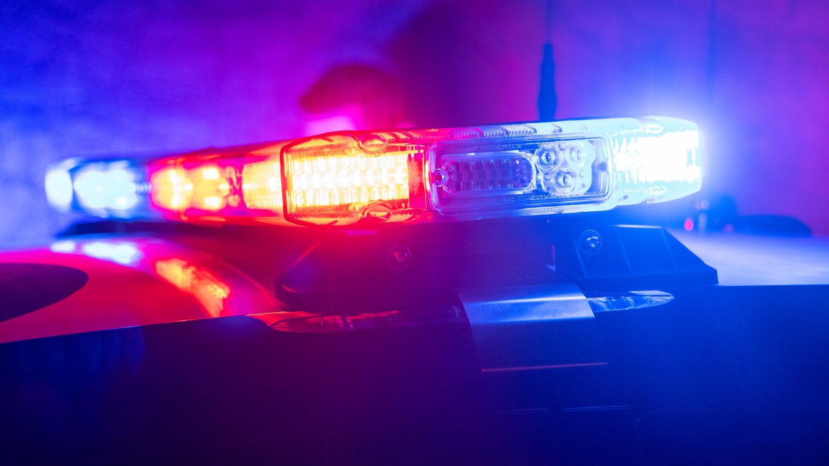 Armed man fatally shot by Brentwood officer while resisting arrest, police say