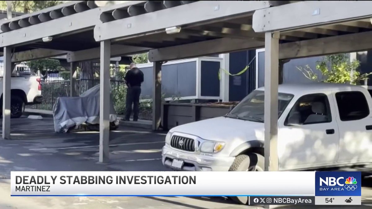 Mother arrested on suspicion of fatally stabbing her daughter in ...