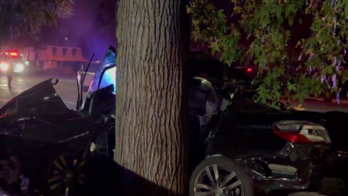 1 Dead After Car Slams Into Tree In San Jose Nbc Bay Area