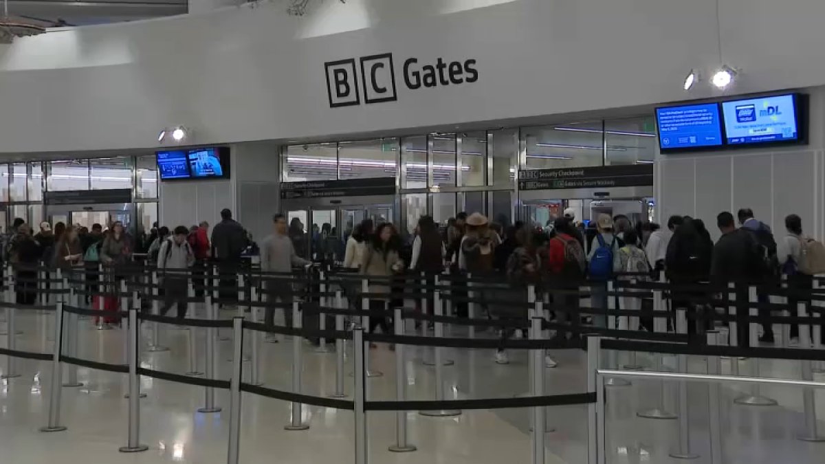 Bay Area airports offer advice before people depart for holiday travel