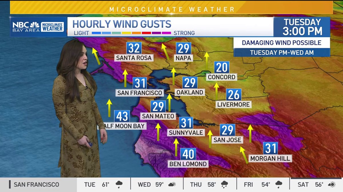 Vianey’s forecast: Widespread rain, strong winds – NBC Bay Area