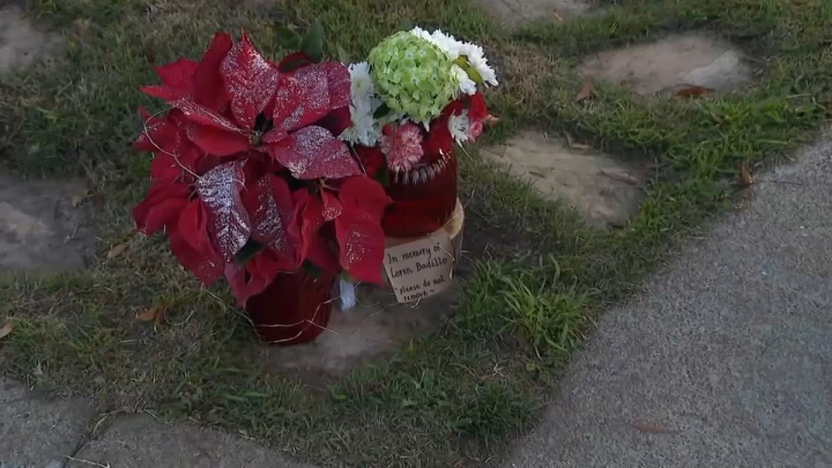 Grieving roommate&nbsp;now prime suspect in deadly San Jose hit and run