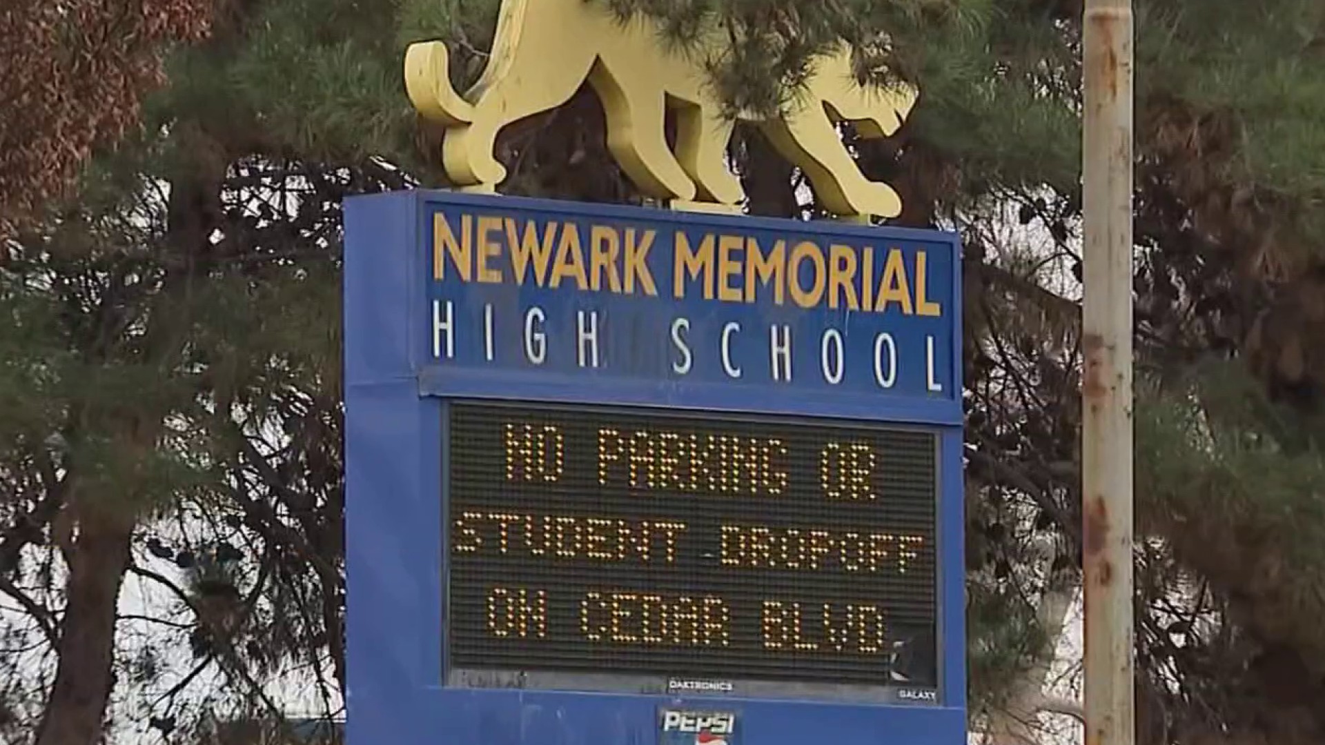 Newark Memorial High School releases all sport coaches by end of the school year