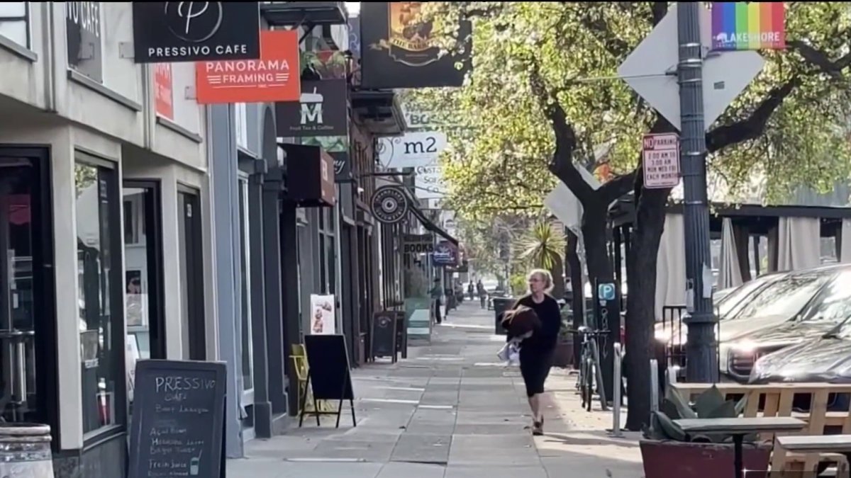 Bay Area businesses close in solidarity with nationwide 'ICE Out' protests