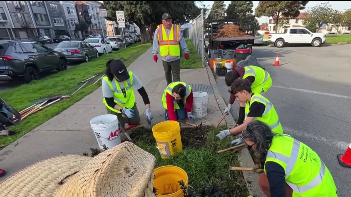 Events across Bay Area celebrate MLK Day through service, action