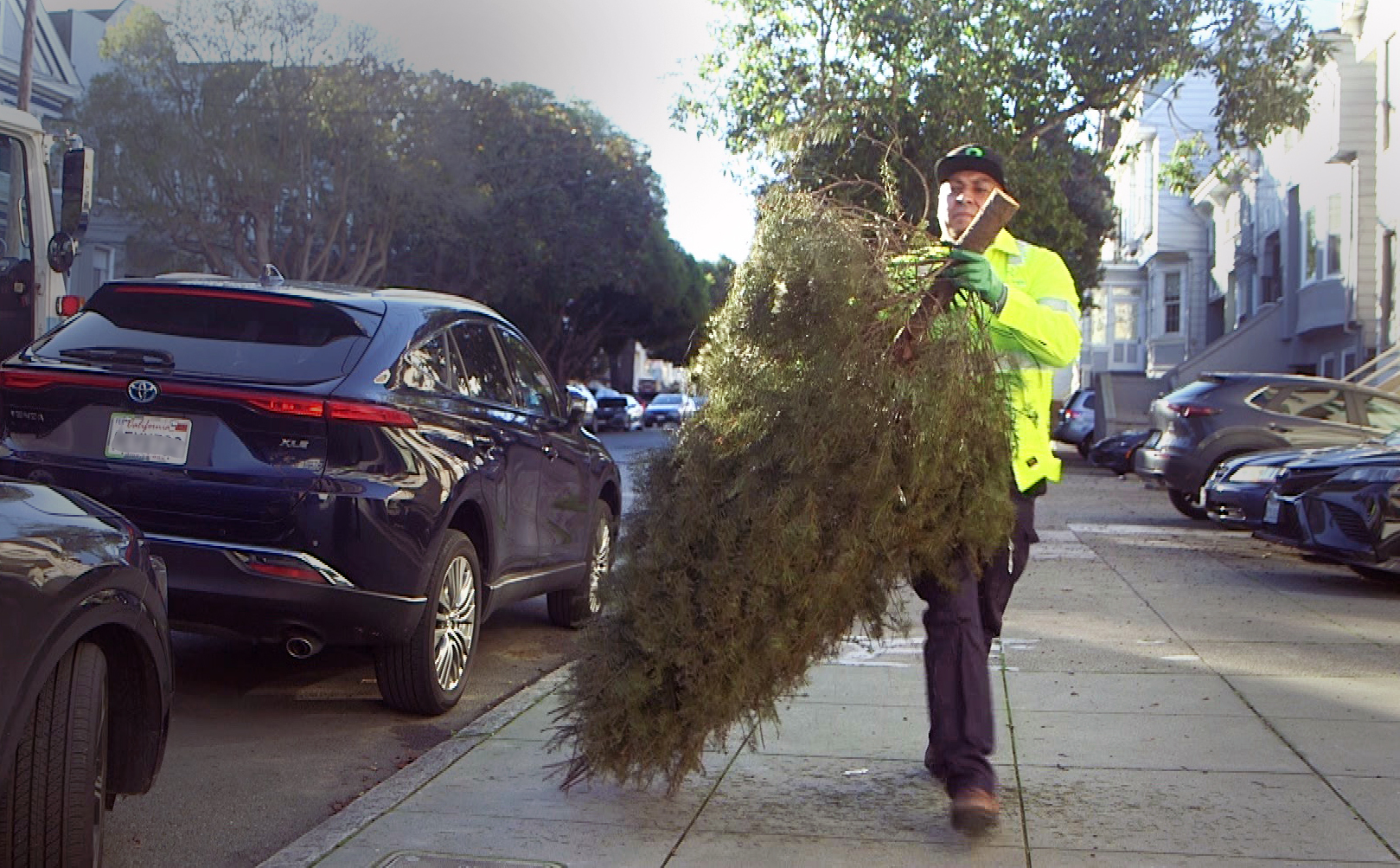 Workers pick up 500 tons of Christmas trees from San Francisco sidewalks