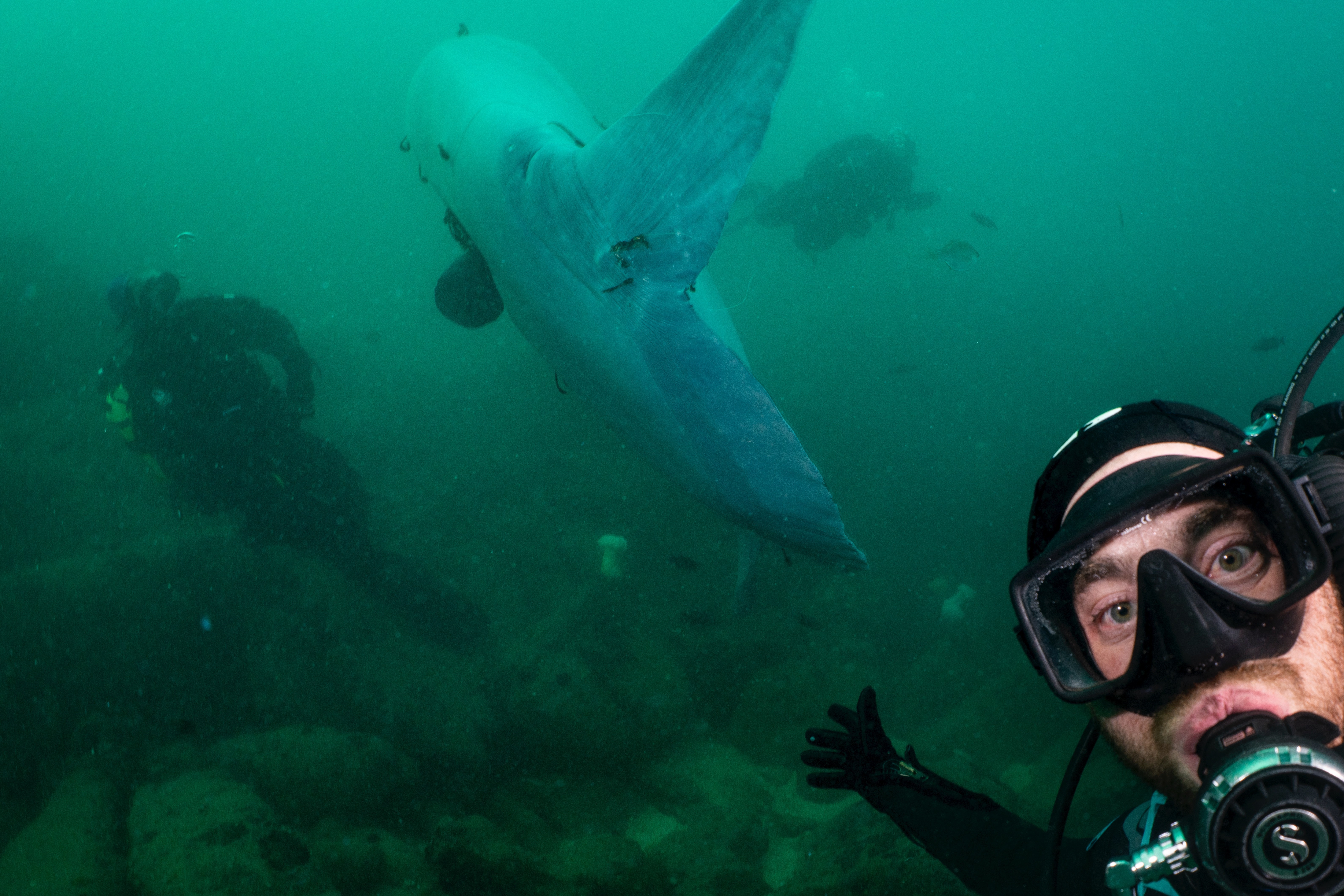 Patrick Webster captured a selfie of himself with a rare Mola tecta, also known as the hoodwinker sunfish.