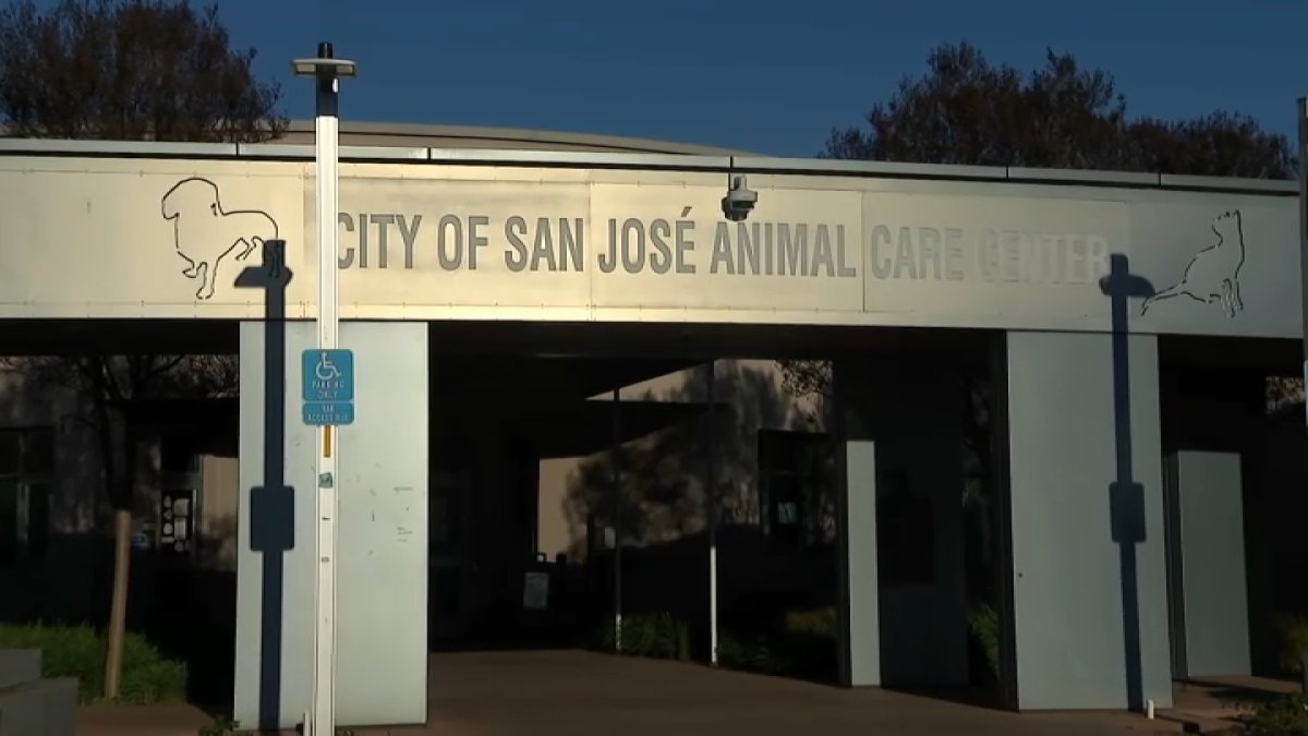 San Jose threatened with legal action over alleged neglect at animal shelter