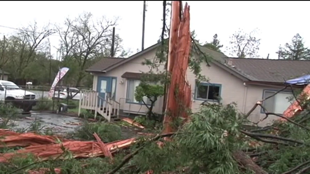 Bay Area storm problems: Downed trees, power outages – NBC Bay Area