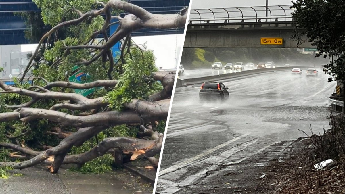 Bay Area storm problems: Downed trees, lightning strikes
