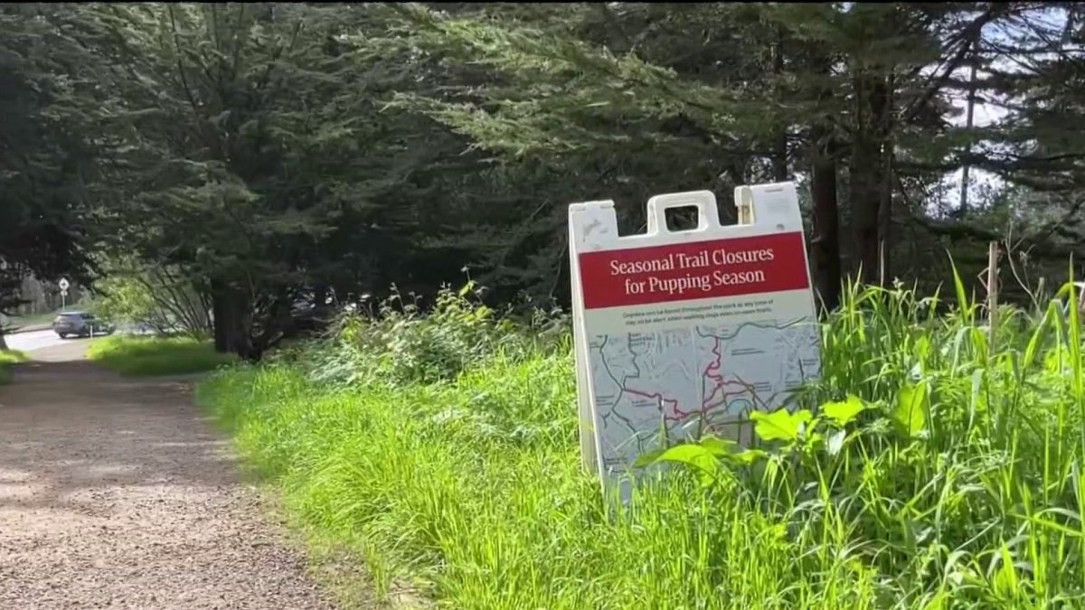 Some SF park trails close for coyote pupping season