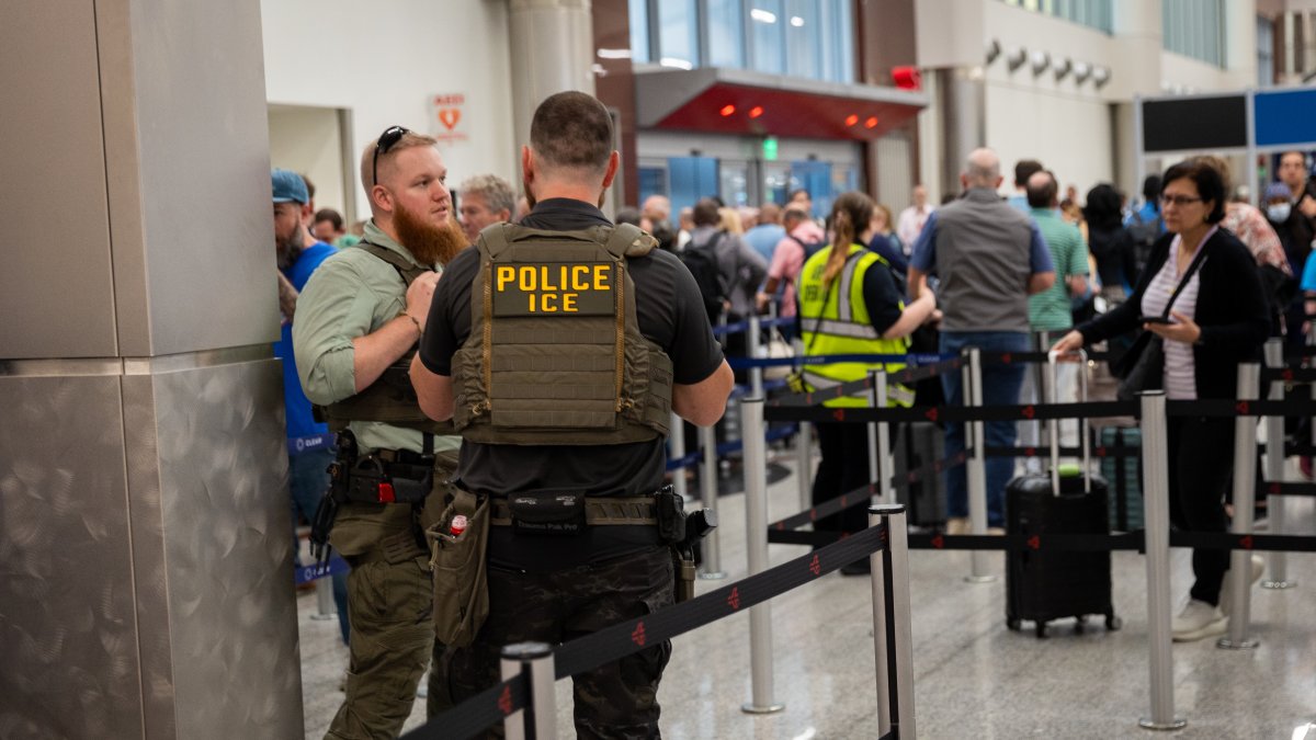 Ice Checkpoints ICE officers go to TSA checkpoints; long airport wait times persist ...