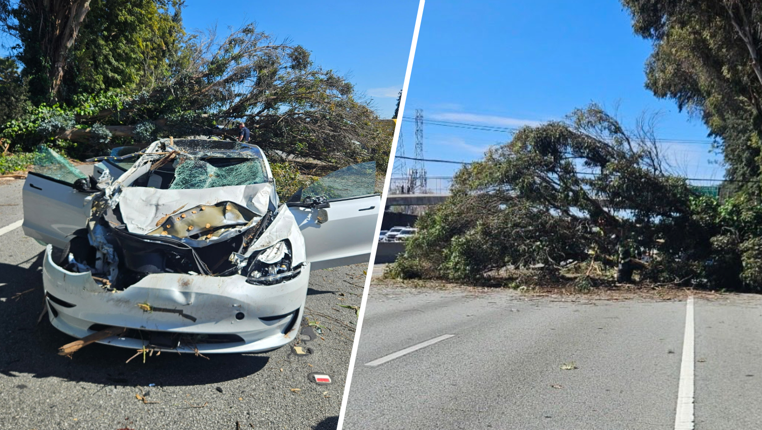 Tag: Highway 101 – NBC Bay Area
