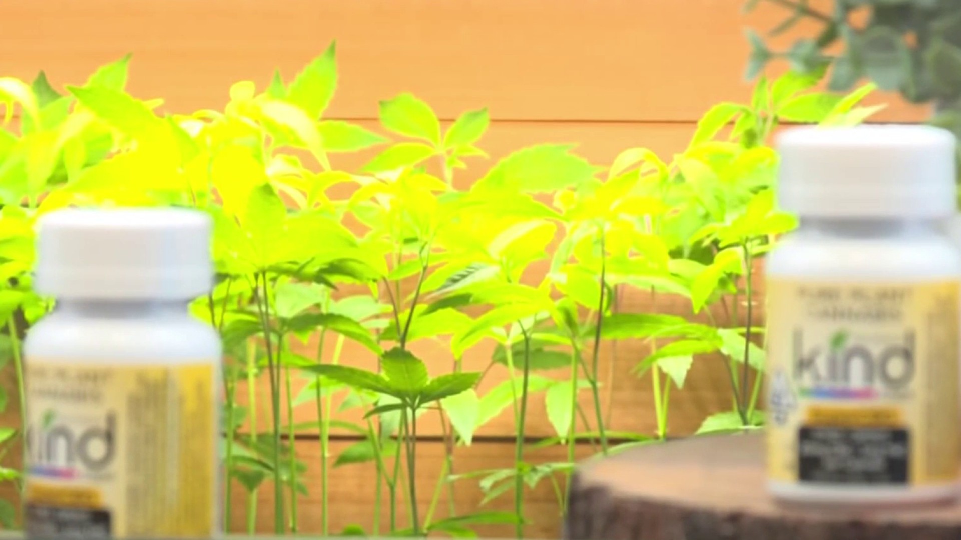 Medical Research Breakthroughs preview 5