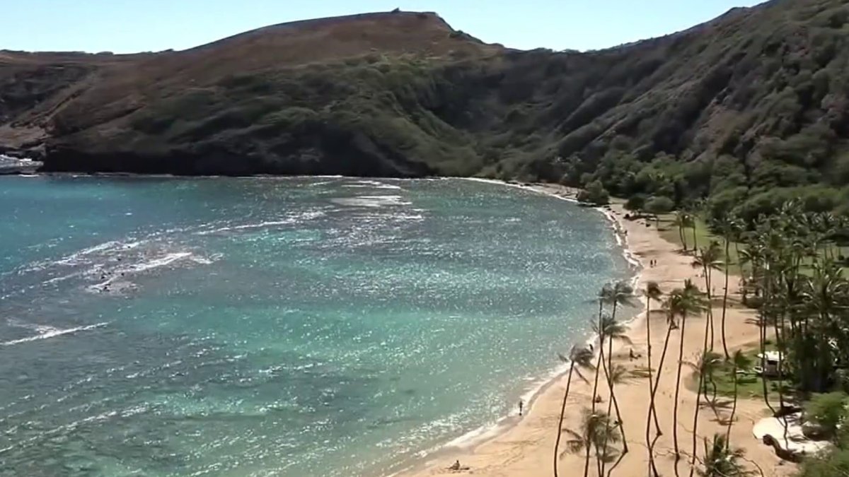 Campbell woman dies while snorkeling in Hawaii