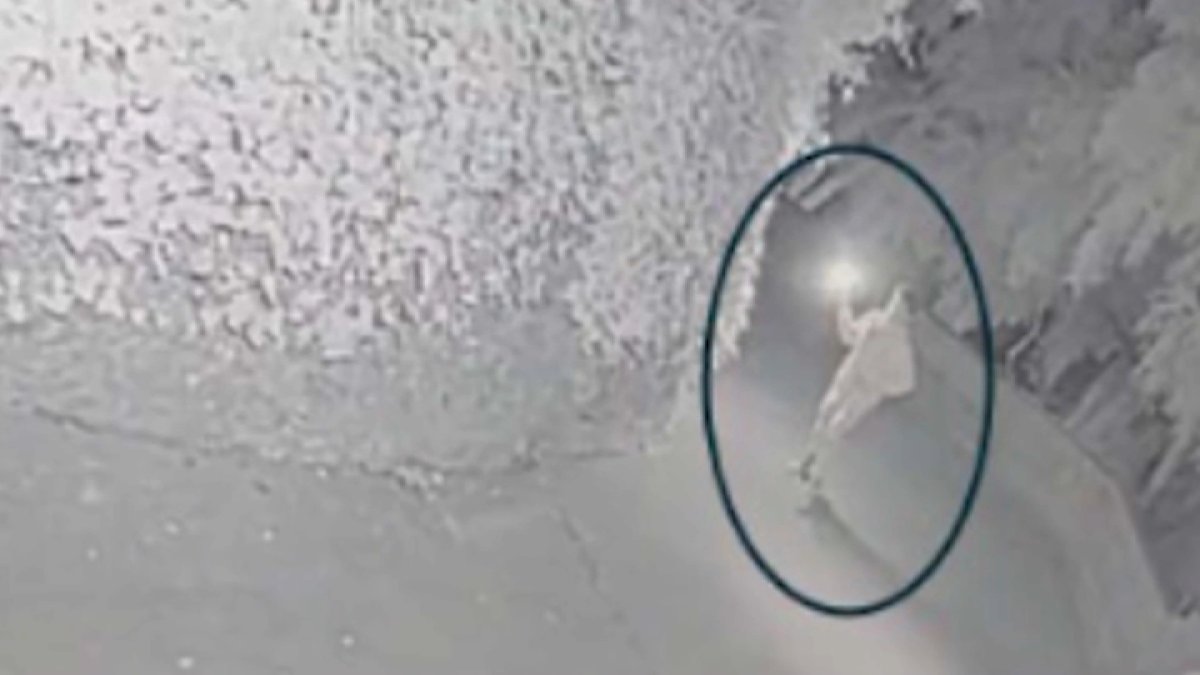 Suspect in Molotov attack at Sam Altman's San Francisco home set to appear in court