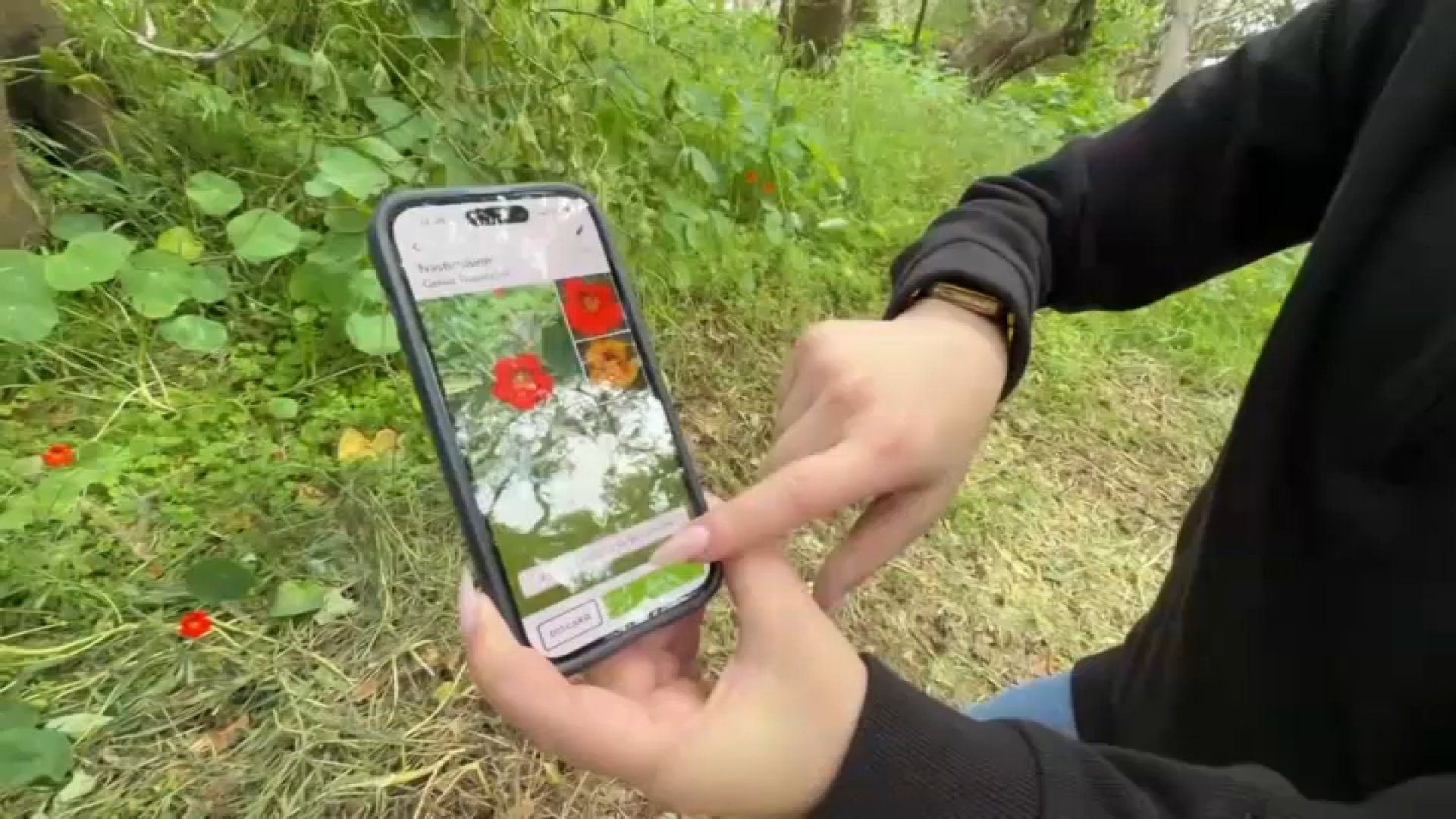 What to know about citizen science and why public participation matters