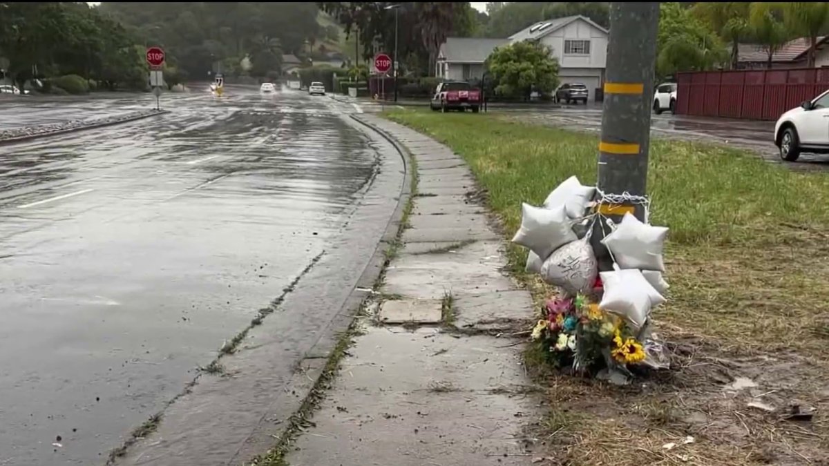 Counselors on campus after deadly Novato crash involving students