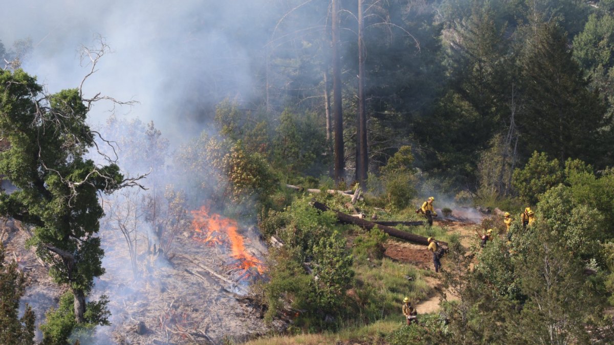 Firefighters battle wildfire in Sonoma County