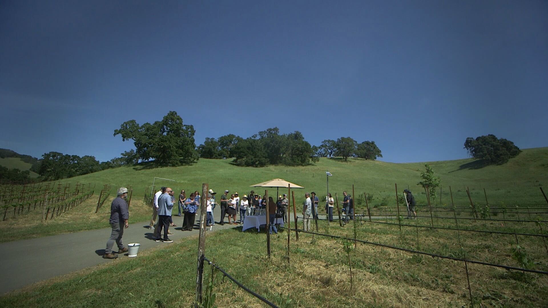 nbcbayarea.com - Joe Rosato Jr. - Napa winery opens doors for sustainability tour
